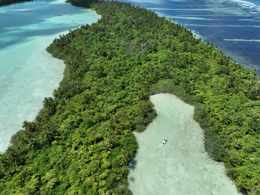 Forest and lagoon from the air, Huvadhu Atoll